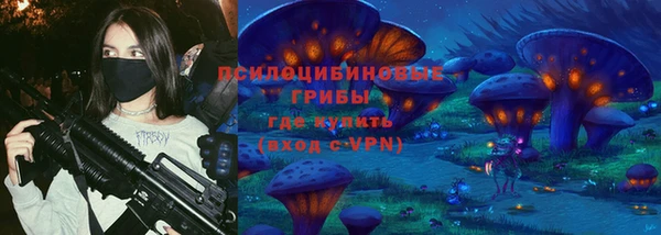 стаф Верхний Тагил