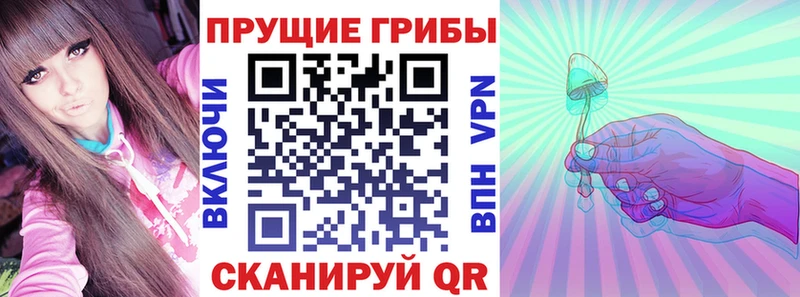 KRAKEN ТОР  где продают наркотики  Ипатово  Псилоцибиновые грибы прущие грибы 